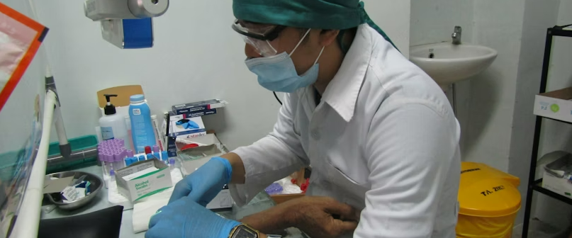 Fitoterapia: O Que É, Como Funciona e Quais os Principais Benefícios
