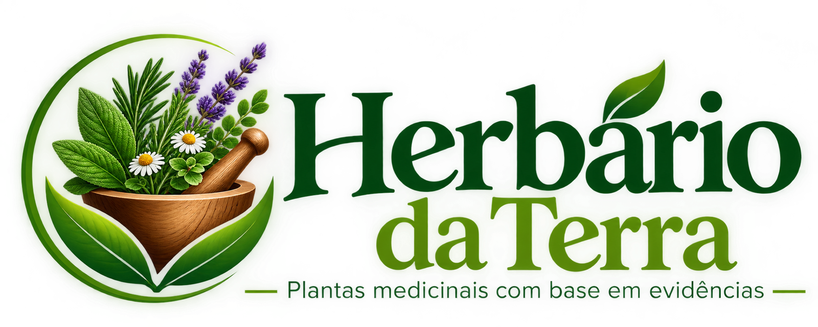 Herbário da Terra Plantas Medicinais